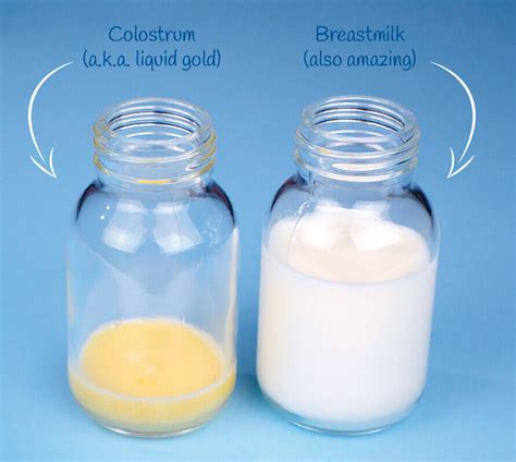 leaking colostrum at 32 weeks|Does Leaking Colostrum Mean Labor is Close ...